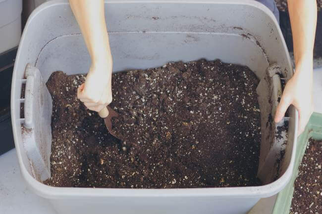 a person’s hand digs a shovel into a plastic bin of compost soil