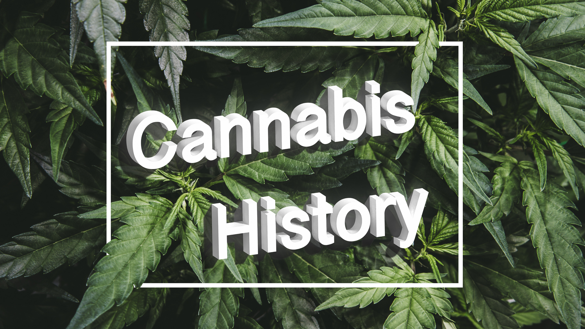 The History of Cannabis