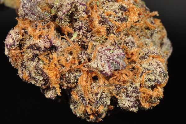An orange and purple cannabis nugget