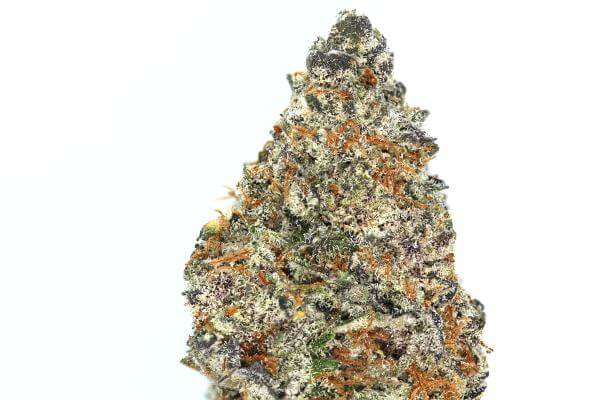 Cannabis nugget that is dark purple, red hairs, and light green leaves.