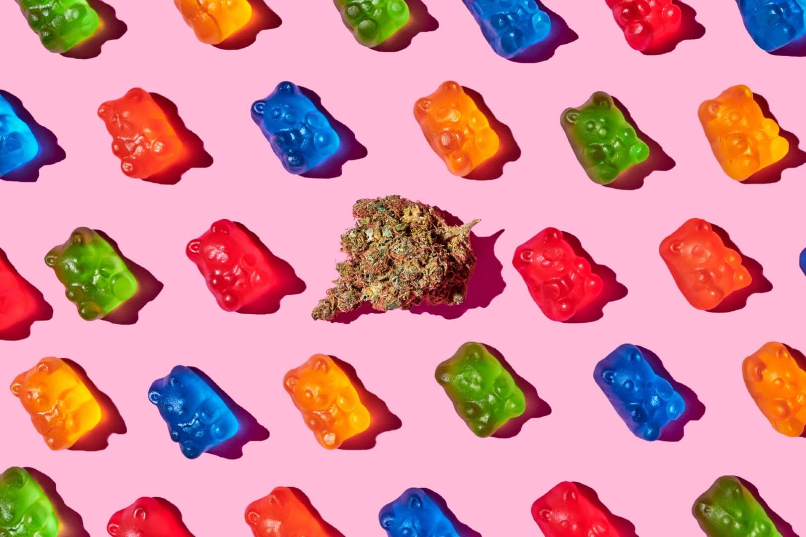 cannabis gummy bears and a nug of weed against a pink background
