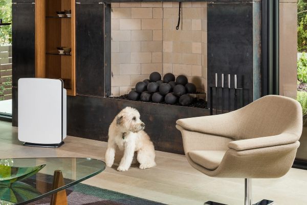 A white dog sitting next to a white air filter and tan chair