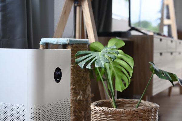 Image of a white air filter next to a plant in a bedroom 